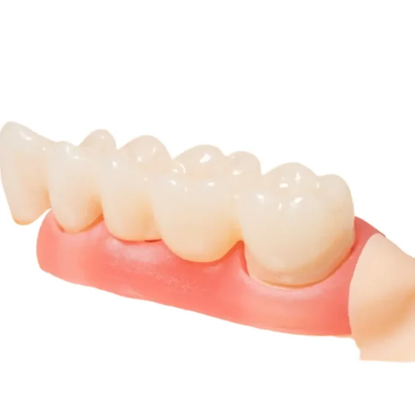Resina Dentona Optiprint Lumina A3 500 grs. para coronas y puentes provisionales - Imagen 3