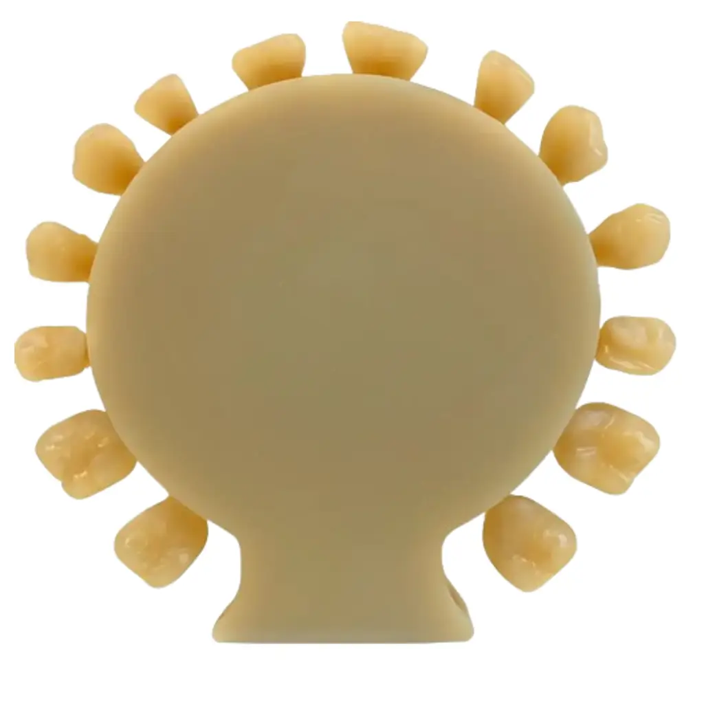 Disco PMMA Multilayer CAD/CAM - Imagen 3